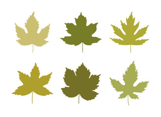 Set of silhouette spring maple leaves in green colors. Summer background, leaf icons, vector illustration