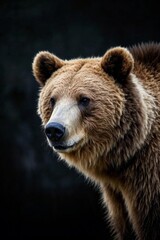 there is a tiger that is looking at the camera