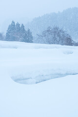 Obraz premium 雪が積もった氷ノ山の棚田の風景 鳥取県 氷ノ山