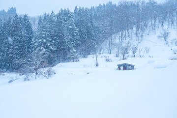 雪が積もった氷ノ山の棚田の風景 鳥取県 氷ノ山