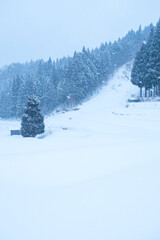 Fototapeta premium 雪が積もった氷ノ山の棚田の風景 鳥取県 氷ノ山