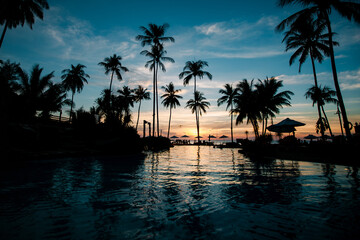 Silhouettes of palm trees and their reflections in the water on a tropical beach during a vibrant sunset, evoking a tranquil and exotic atmosphere.