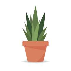 A potted houseplant. Succulent, cactus, aloe. A hand-drawn indoor flower isolated on a white background.