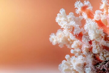 Delicate coral reef life underwater paradise macro photography minimalist background soft coral textures vibrant marine environment aquatic wonder