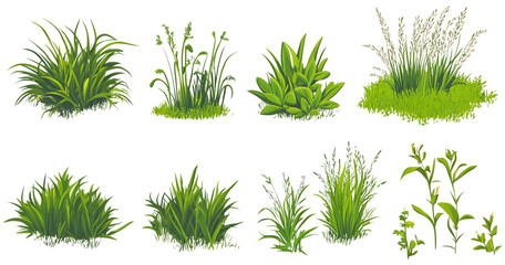 set of green grass