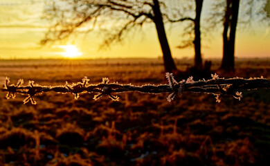 Sonnenuntergang hinterm Stacheldrahtzaun