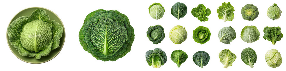A diverse assortment of vibrant leafy green vegetables including cabbage lettuce and other crisp nutritious produce