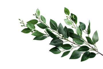 Naklejka premium Green leaves branch with budding flowers on transparent background