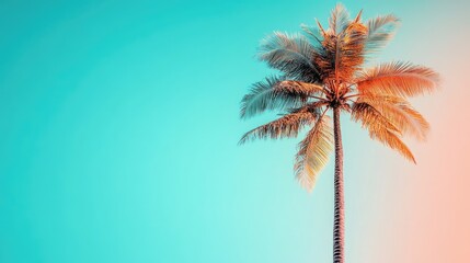 Obraz premium A tropical palm tree illustration with a vibrant turquoise and coral background