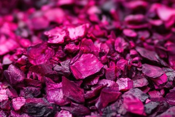 Cochineal: Scarlet Dye Produced from Dried Insects. Macro Closeup on Background