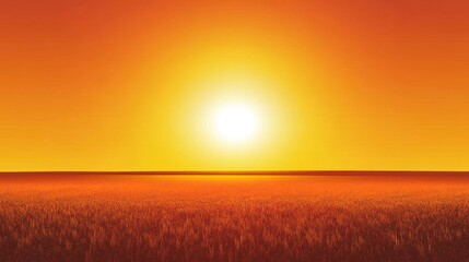 Fototapeta premium Golden Sunset over Wheat Field Rural Landscape.