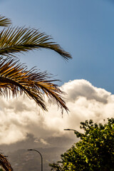 Obraz premium Paisaje en el Puerto de la Cruz, Tenerife.