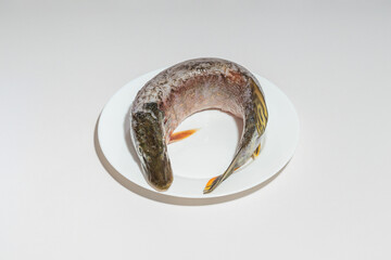 A raw fish curled on a white plate, photographed from a slightly angled perspective.