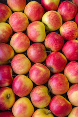 Closeup of Red Apples Group.