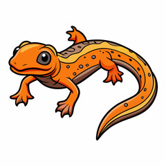 newt on a white background