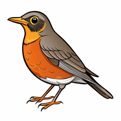 American robin bird on a branch