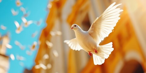 Fototapeta premium Dove In Flight Banner