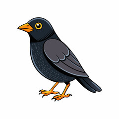 vector illustration of a blackbird