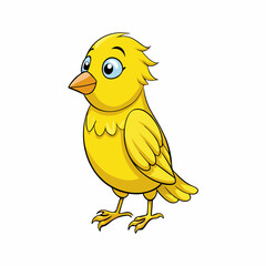 canary isolated on white