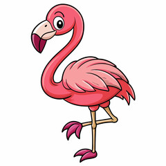 flamingo vector illustration