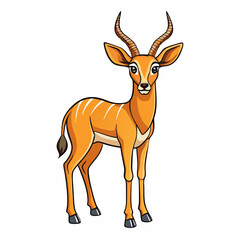 gazelle vector illustration