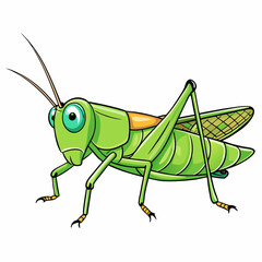 green grasshopper cartoon isolated on white