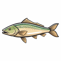 haddock fish on a white background