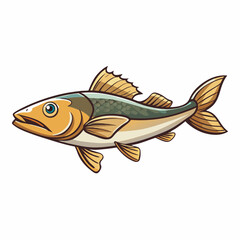 haddock fish on a white background