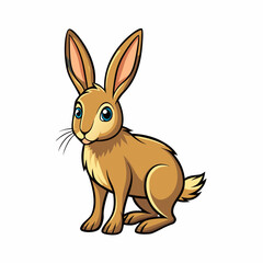 hare with a white background