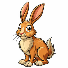 hare with a white background
