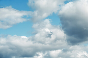 Fototapeta premium Cumulus clouds in the blue sky on a sunny day.