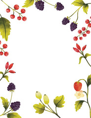 Wild berries frame and border  watercolor illustration isolated on white background, border Watercolor illustration set of berries, border branch of berries with leaves and berries