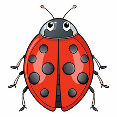 vector illustration of a ladybug cartoon 