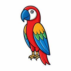 macaw on white background