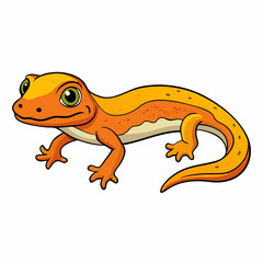 newt  on a white background