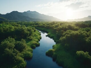 River flows through lush mountain valley.