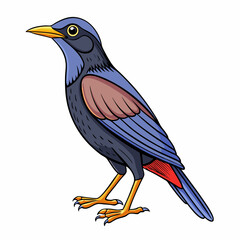 cartoon starling on white background