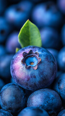 Obraz premium Fresh blueberries with vibrant colors and a single leaf, perfect for healthy recipes and summer dishes.