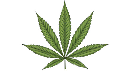Isolated Cannabis Leaf