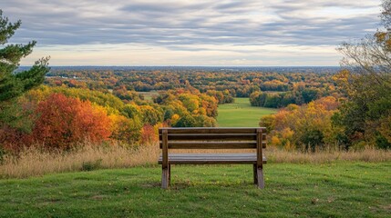 Fototapeta premium A wooden bench on a hill, offering a panoramic view of a park bathed in autumn colors.
