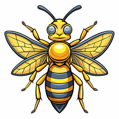 wasp vector illustration