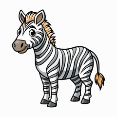 zebra vector illustration