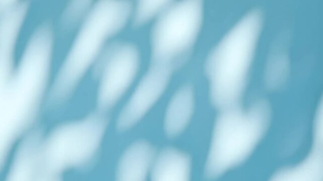 Abstract silhouette shadows of natural leaves tree branch falling on a light blue wall background. Transparent blurry shadow in morning sunlight with copy space for text,4K