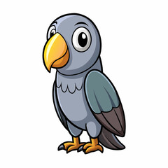 african grey parrot on white