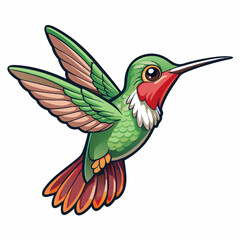 hummingbird in flight