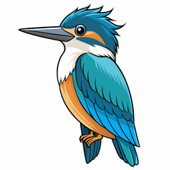kingfisher bird on white