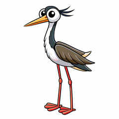 black necked stilt on a white background