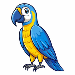 blue and yellow macaw
