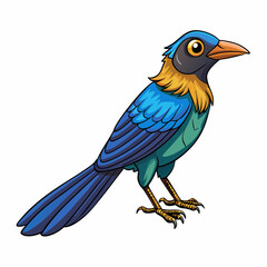 blue common grackle