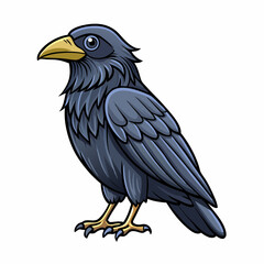 common raven bird vector